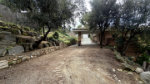 27-externior-08.jpg
